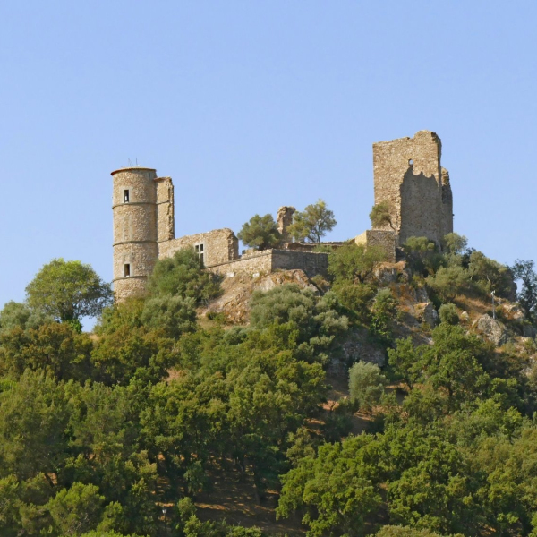 DÉCOUVRIR GRIMAUD