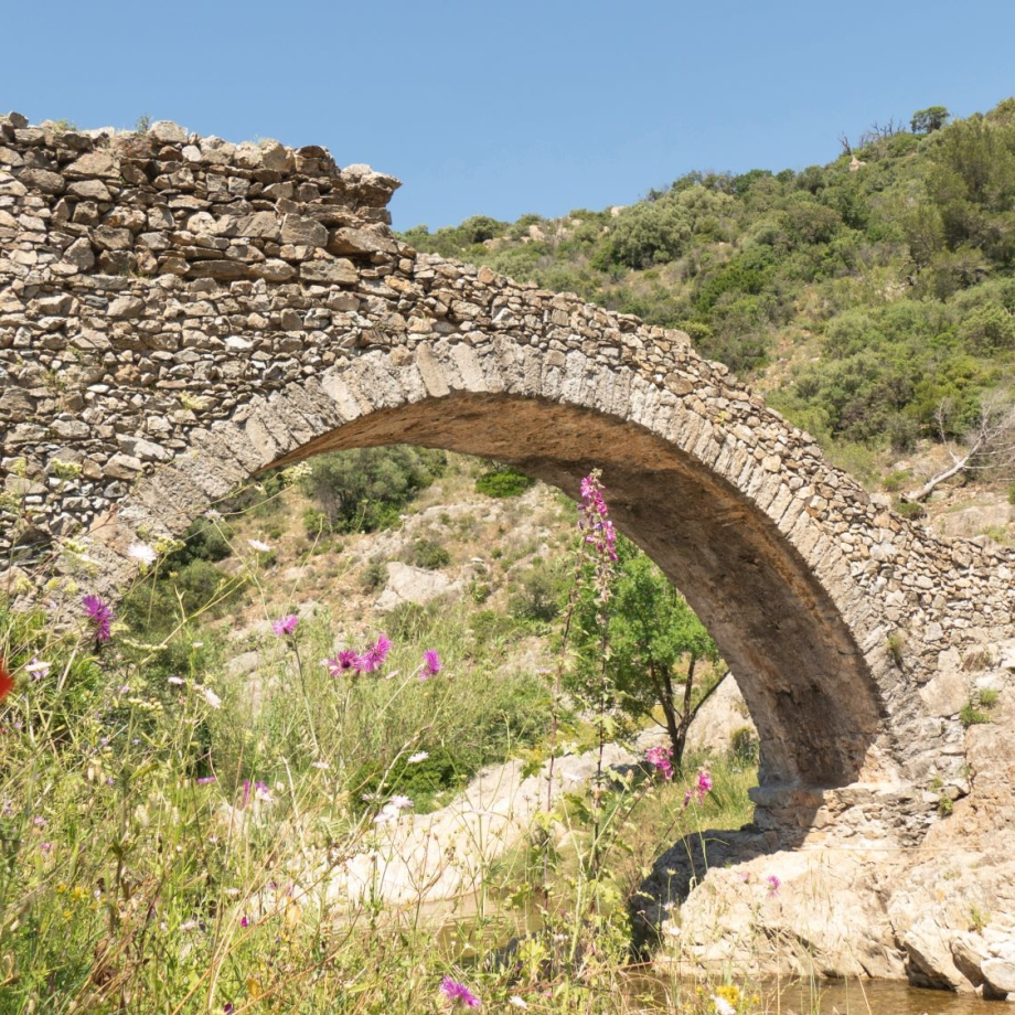 LE PONT DES FÉES